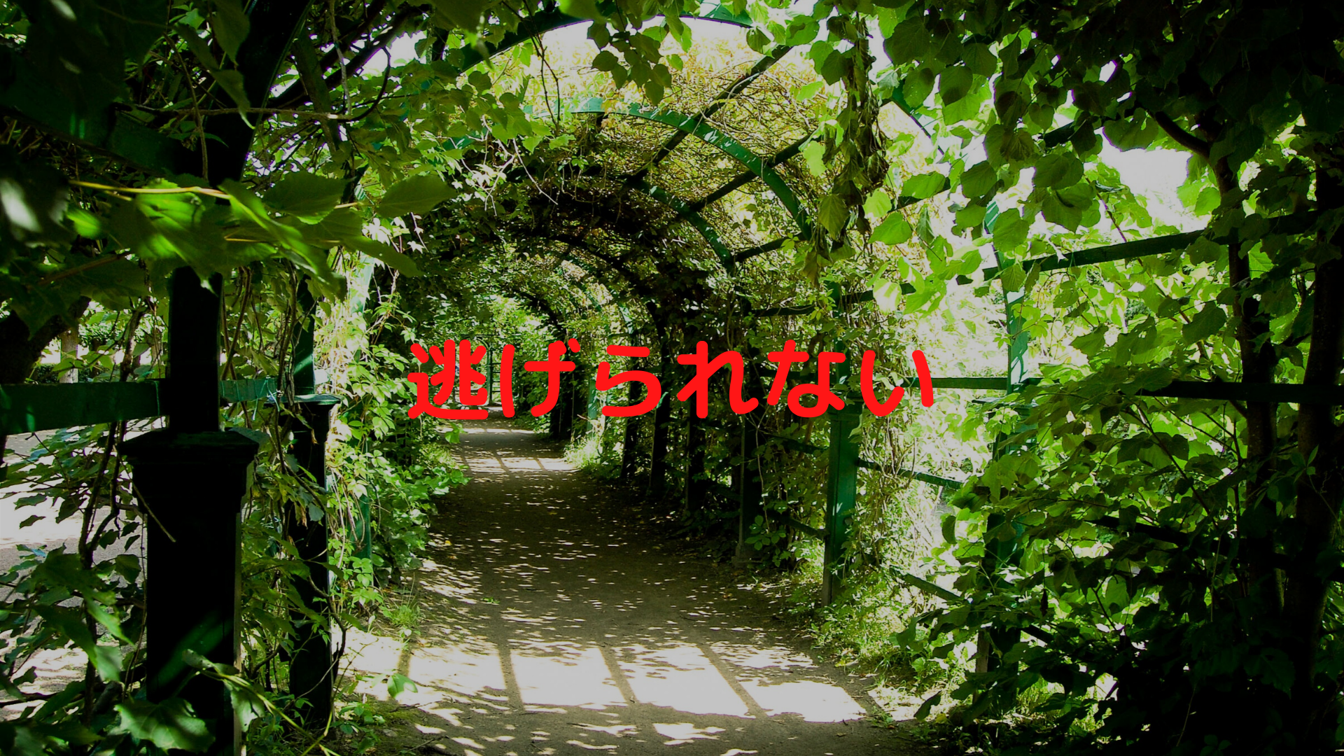 非読書家がハマったミステリー 碓氷優佳シリーズ第三弾 彼女が追ってくる の感想 みのむしぼっち